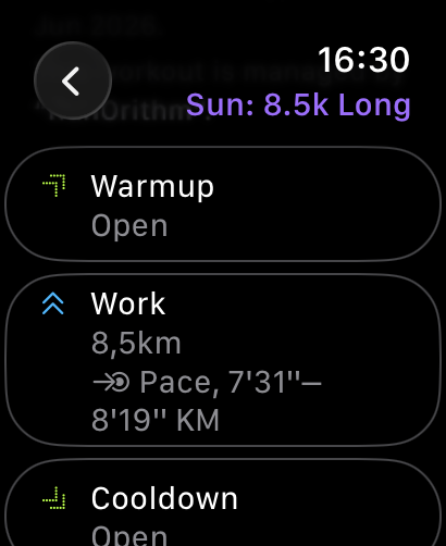 RunOrithm Apple Watch Workout Screenshot